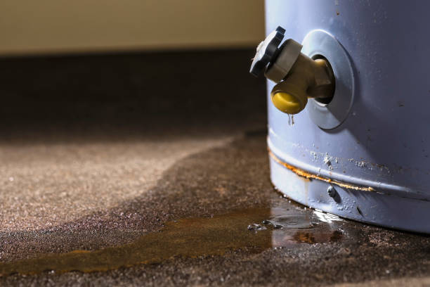 Best Water damage restoration insurance claims  in , NY