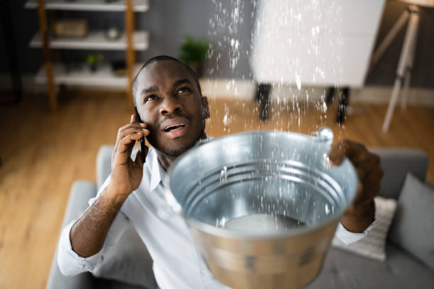 Best Water damage cleanup near me  in , NY