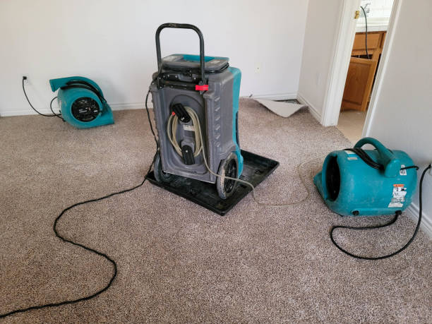 Best Fire Damage Restoration  in , NY