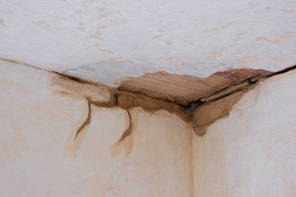 Best Water damage restoration mold remediation  in , NY
