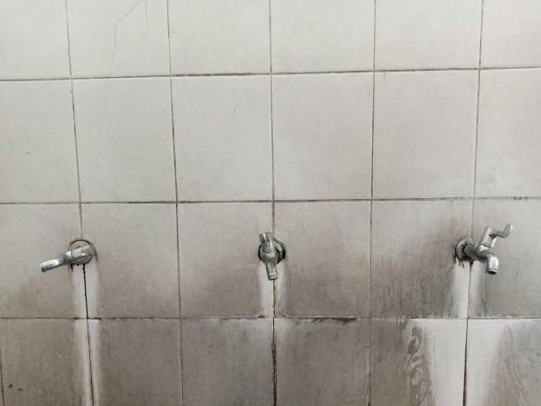 Best 24/7 water damage repair  in , NY