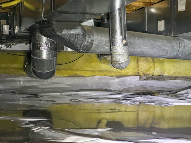 Best Water damage restoration near me  in , NY
