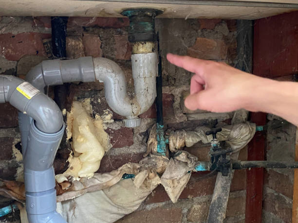 Best Mold removal after water damage  in , NY