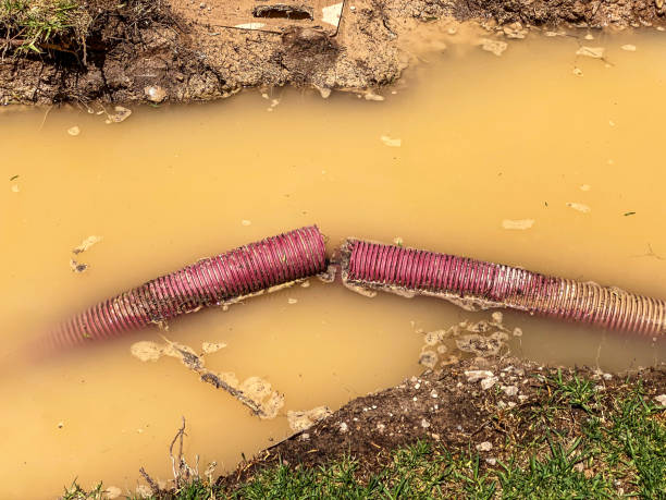 Best Water damage restoration company  in , NY