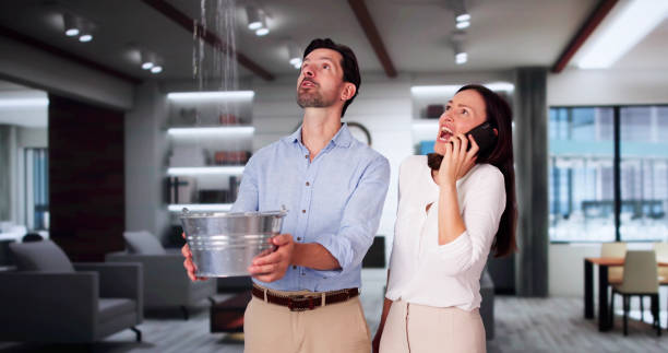 Best Flood restoration services  in , NY