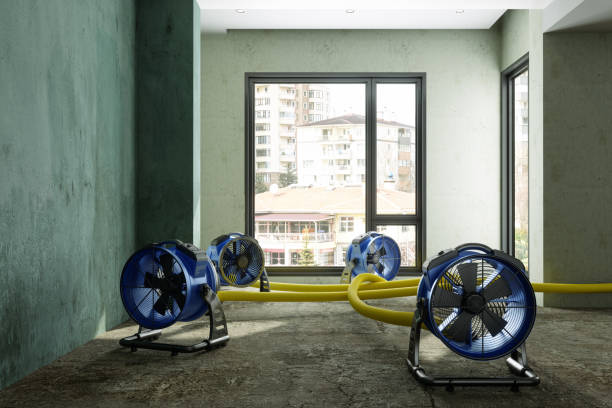 Best Carpet water damage restoration  in , NY