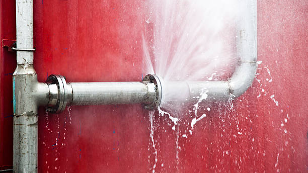 Best Sewage cleanup and water damage restoration  in , NY