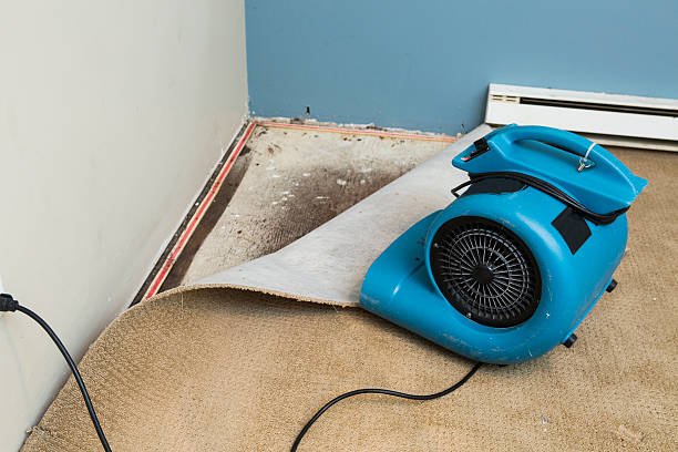Best Water damage restoration near me  in , NY